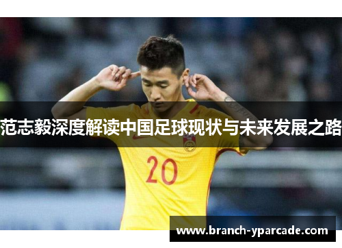 范志毅深度解读中国足球现状与未来发展之路