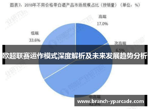 欧超联赛运作模式深度解析及未来发展趋势分析
