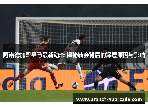 阿诺德加盟皇马最新动态 揭秘转会背后的深层原因与影响